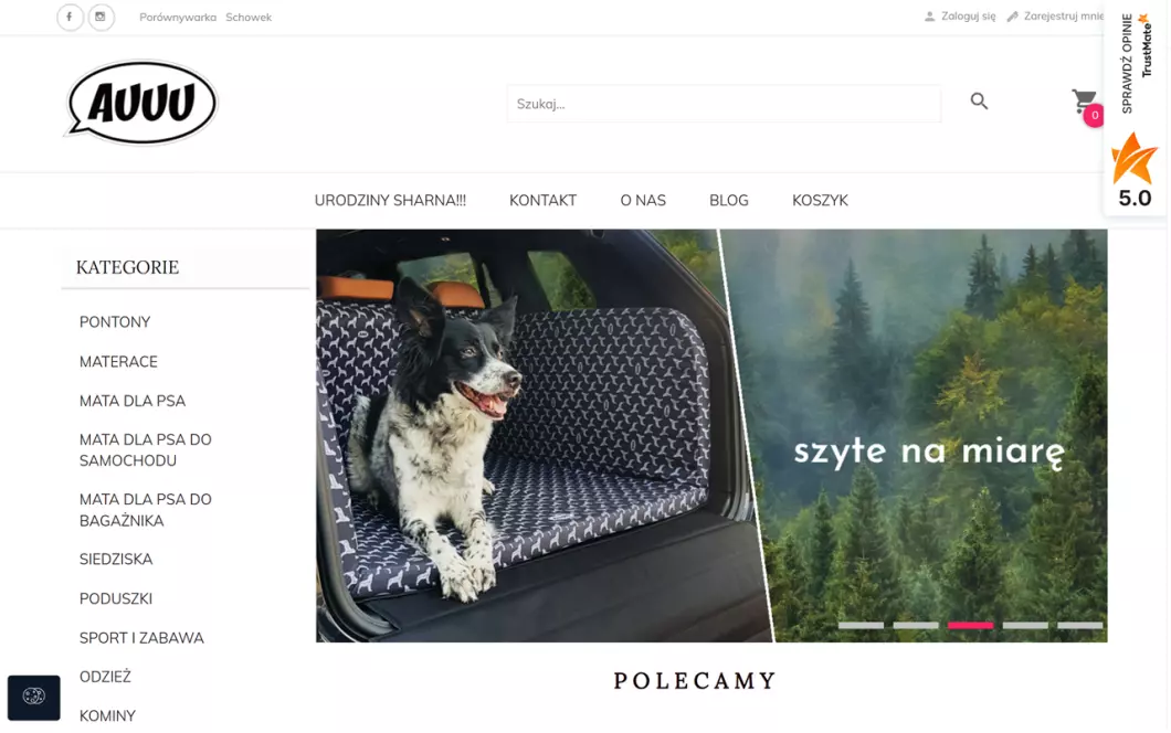 Zrzut ekranu strony