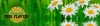 Logo Medi-Flowery